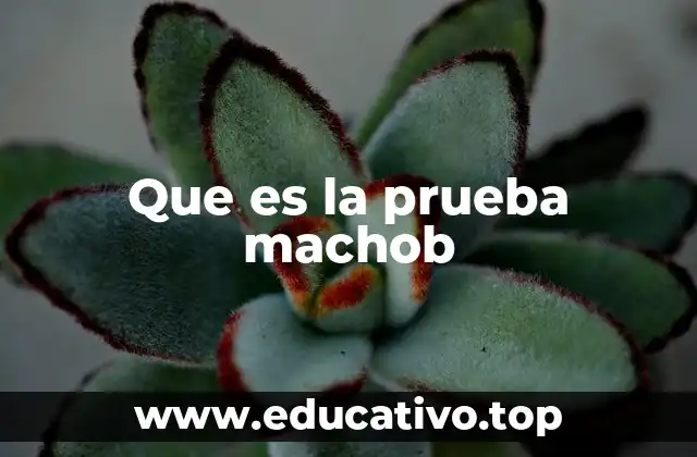Que es la prueba machob