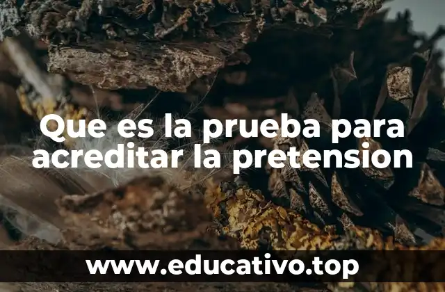 Que es la prueba para acreditar la pretension