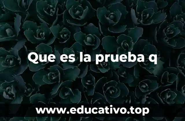 Que es la prueba q