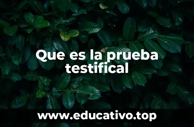 Que es la prueba testifical