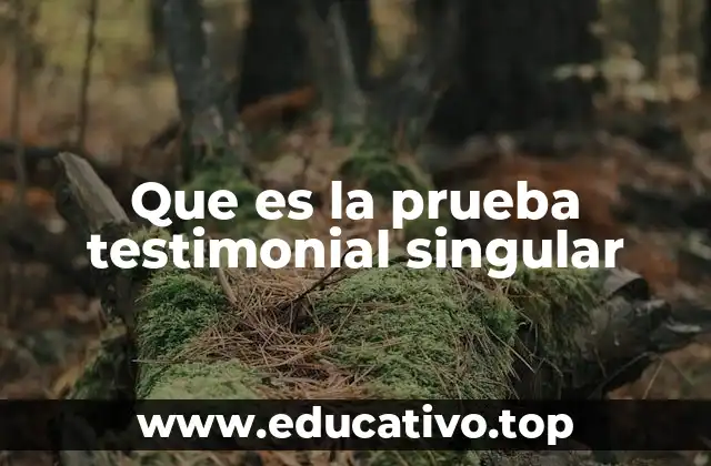 El papel de los testimonios en el sistema judicial