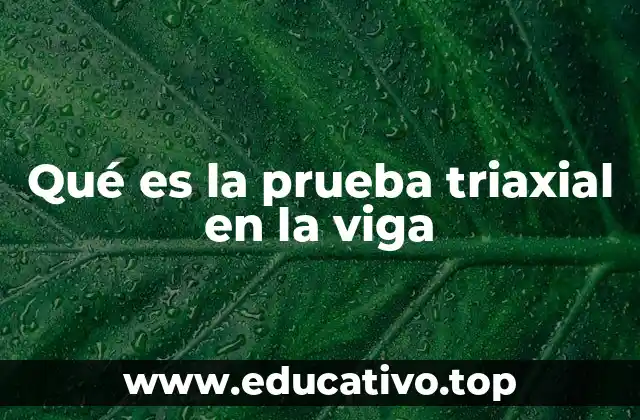 Qué es la prueba triaxial en la viga