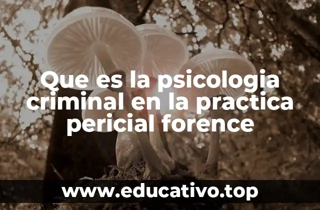 El papel de la psicología en el sistema judicial