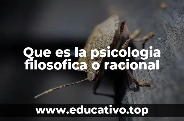 El puente entre mente y filosofía