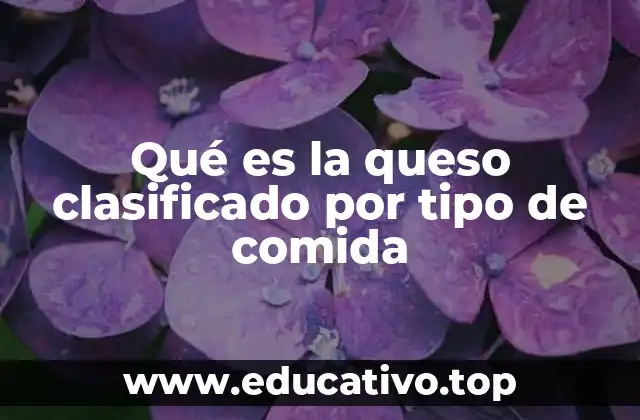 Qué es la queso clasificado por tipo de comida