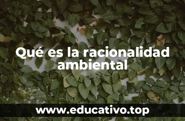 Qué es la racionalidad ambiental