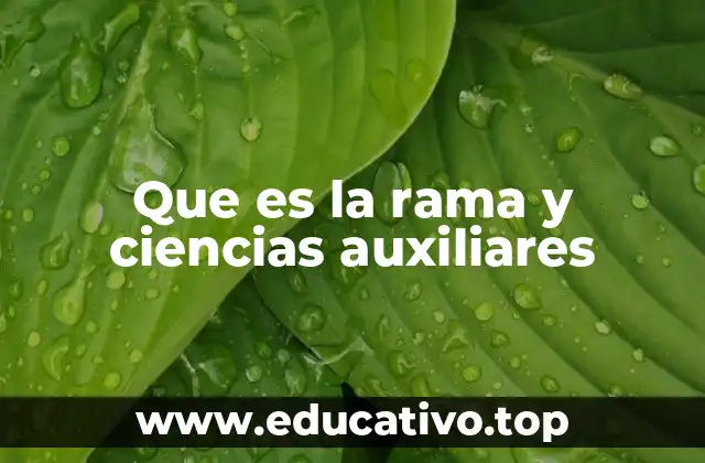 El papel de las ciencias auxiliares en el desarrollo del conocimiento