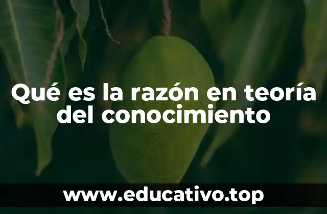 Qué es la razón en teoría del conocimiento