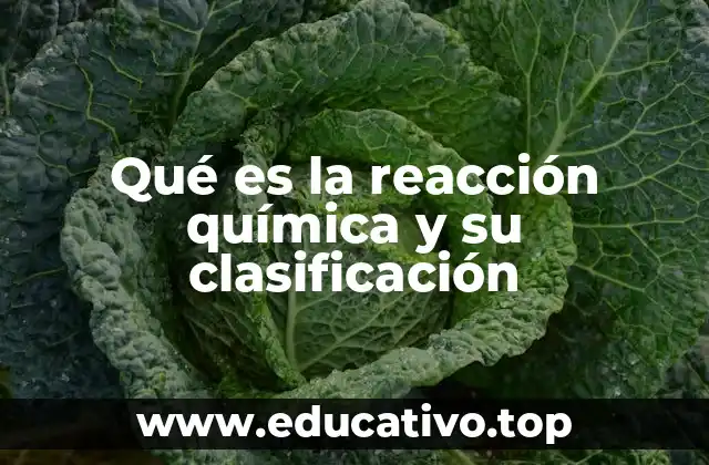 Qué es la reacción química y su clasificación