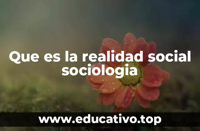 Que es la realidad social sociologia