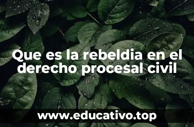 Que es la rebeldia en el derecho procesal civil