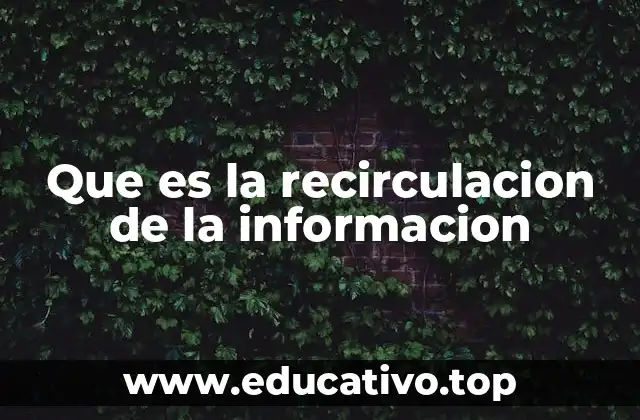Que es la recirculacion de la informacion