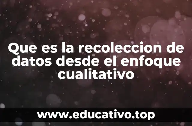 Que es la recoleccion de datos desde el enfoque cualitativo