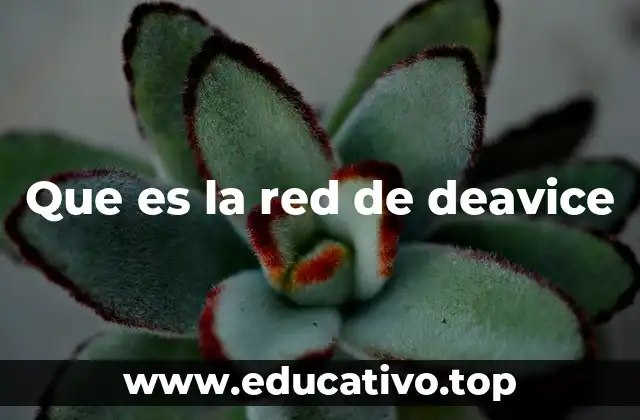 Que es la red de deavice