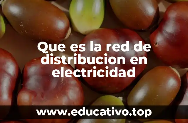 Que es la red de distribucion en electricidad