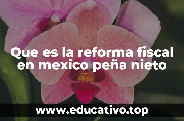 Que es la reforma fiscal en mexico peña nieto