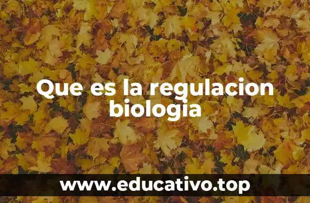 Que es la regulacion biologia