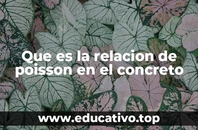 Que es la relacion de poisson en el concreto