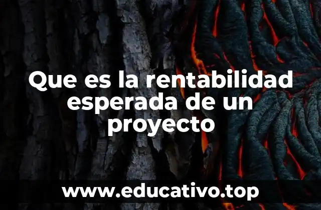 Cómo se relaciona la rentabilidad esperada con la toma de decisiones empresariales