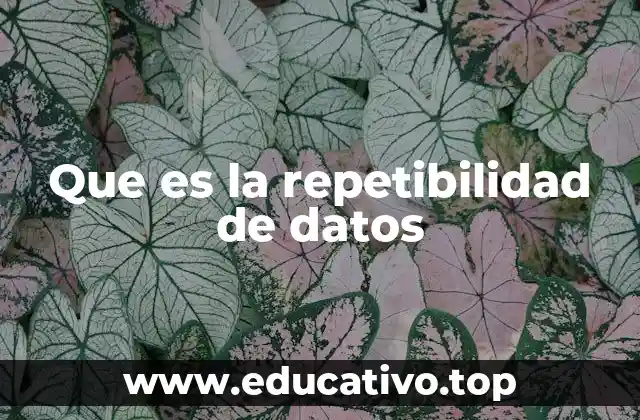 Que es la repetibilidad de datos