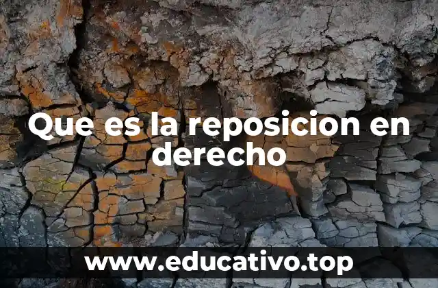 Que es la reposicion en derecho