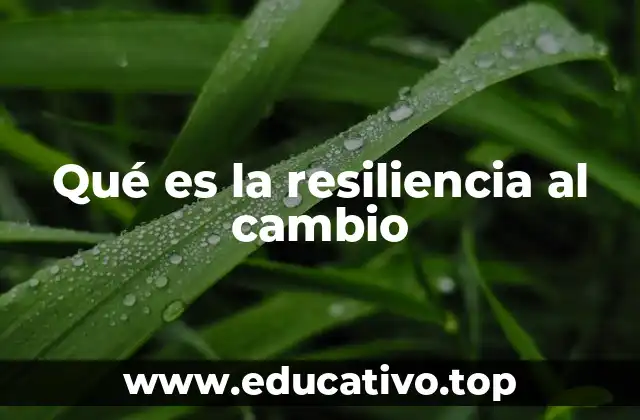Qué es la resiliencia al cambio