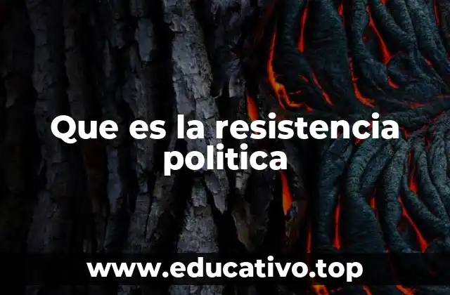 El papel de la resistencia en la democracia
