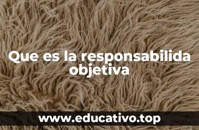 Que es la responsabilida objetiva