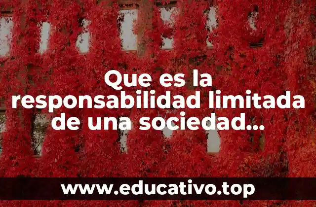 Que es la responsabilidad limitada de una sociedad cooperativa