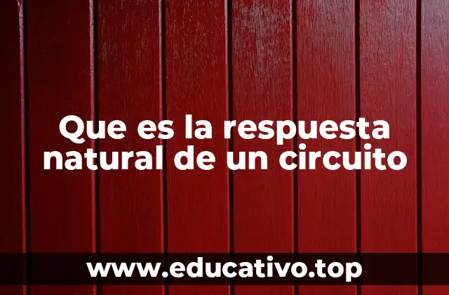 Que es la respuesta natural de un circuito