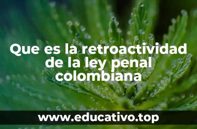 Que es la retroactividad de la ley penal colombiana