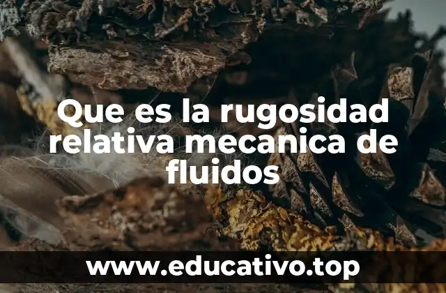 Que es la rugosidad relativa mecanica de fluidos