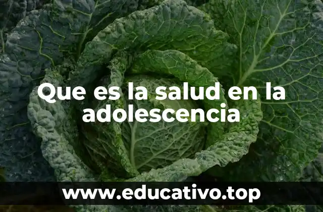 Que es la salud en la adolescencia