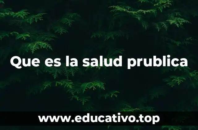 Que es la salud prublica