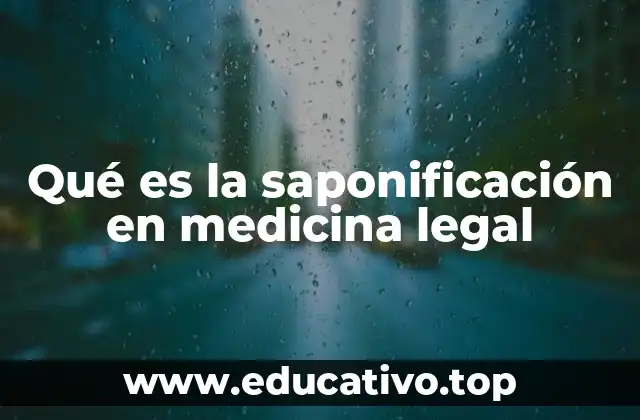 El papel de la saponificación en la preservación de cadáveres