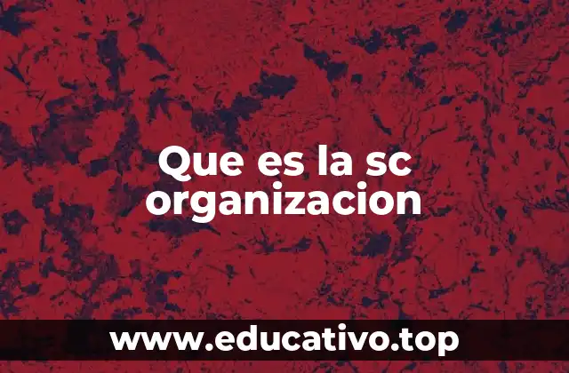 Que es la sc organizacion