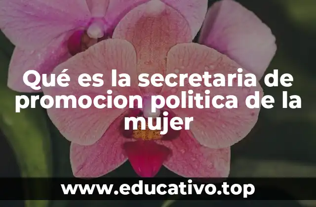 El rol de las instituciones en la participación femenina en política