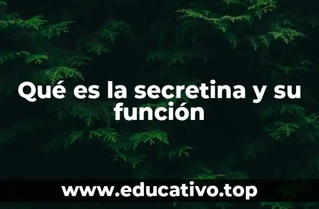 Qué es la secretina y su función