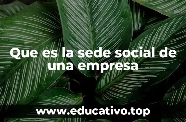La importancia de elegir una sede social adecuada