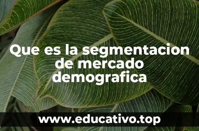 Que es la segmentacion de mercado demografica