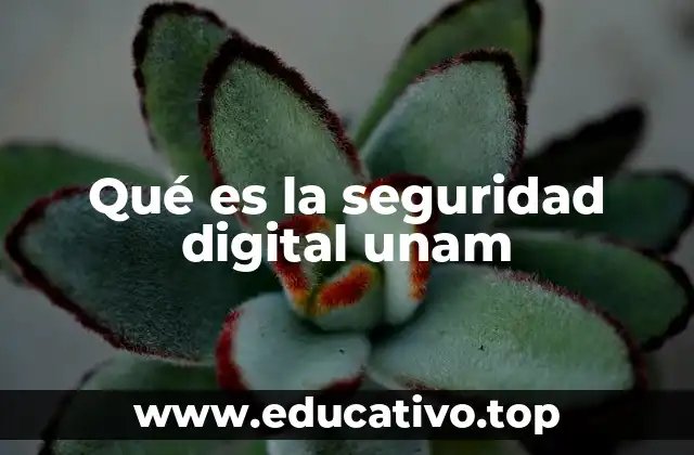 Qué es la seguridad digital unam