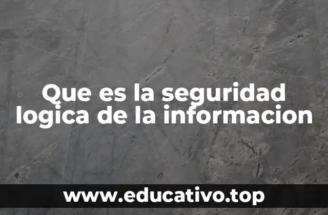 Que es la seguridad logica de la informacion