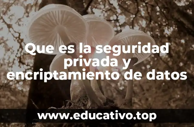 Que es la seguridad privada y encriptamiento de datos