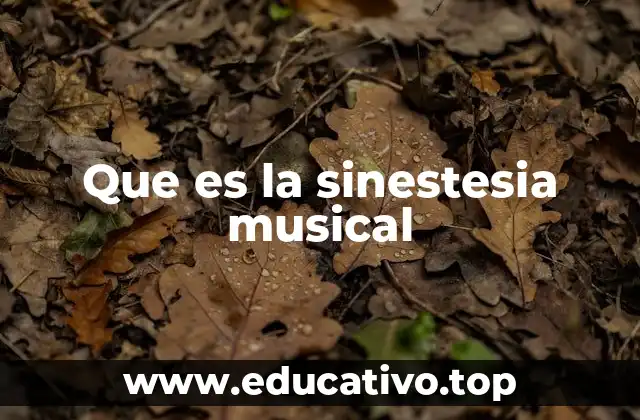 Que es la sinestesia musical