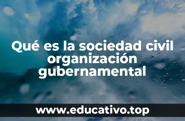 Qué es la sociedad civil organización gubernamental