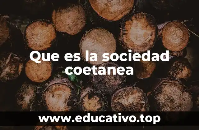 Que es la sociedad coetanea