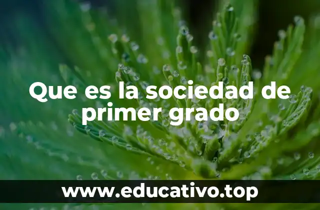 Que es la sociedad de primer grado