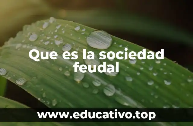 Que es la sociedad feudal
