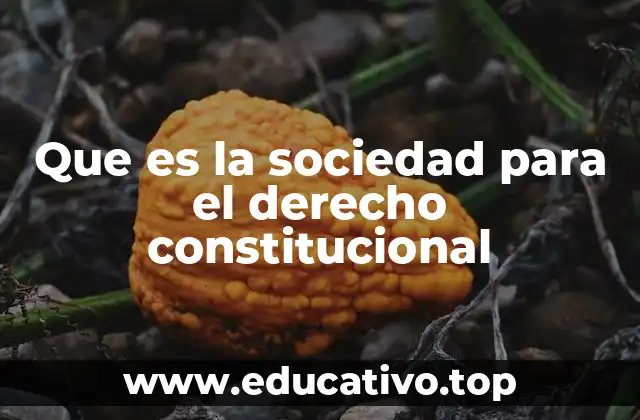 Que es la sociedad para el derecho constitucional