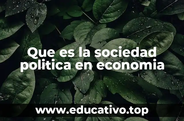 Que es la sociedad politica en economia